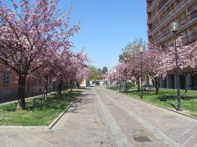 Forexport je sve, pa i ovako lijepi i sunčani dan. Bolje nego televizijske serije.