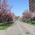 Forexport je sve, pa i ovako lijepi i sunčani dan. Bolje nego televizijske serije.